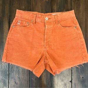 AG Adriano Goldschmied High rise Alexxis Shorts NWT!  Size 27